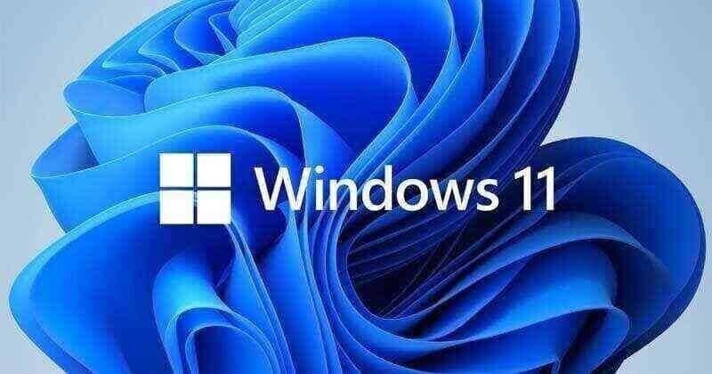 Windows 11 (Pro)